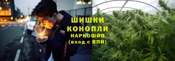 амф Алзамай