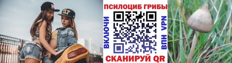 Галлюциногенные грибы мицелий  Томари 